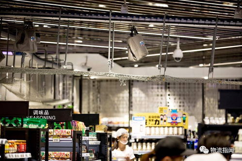 盒马物流的卓越之处 2小时背后的秘密与健康咨询服务的结合